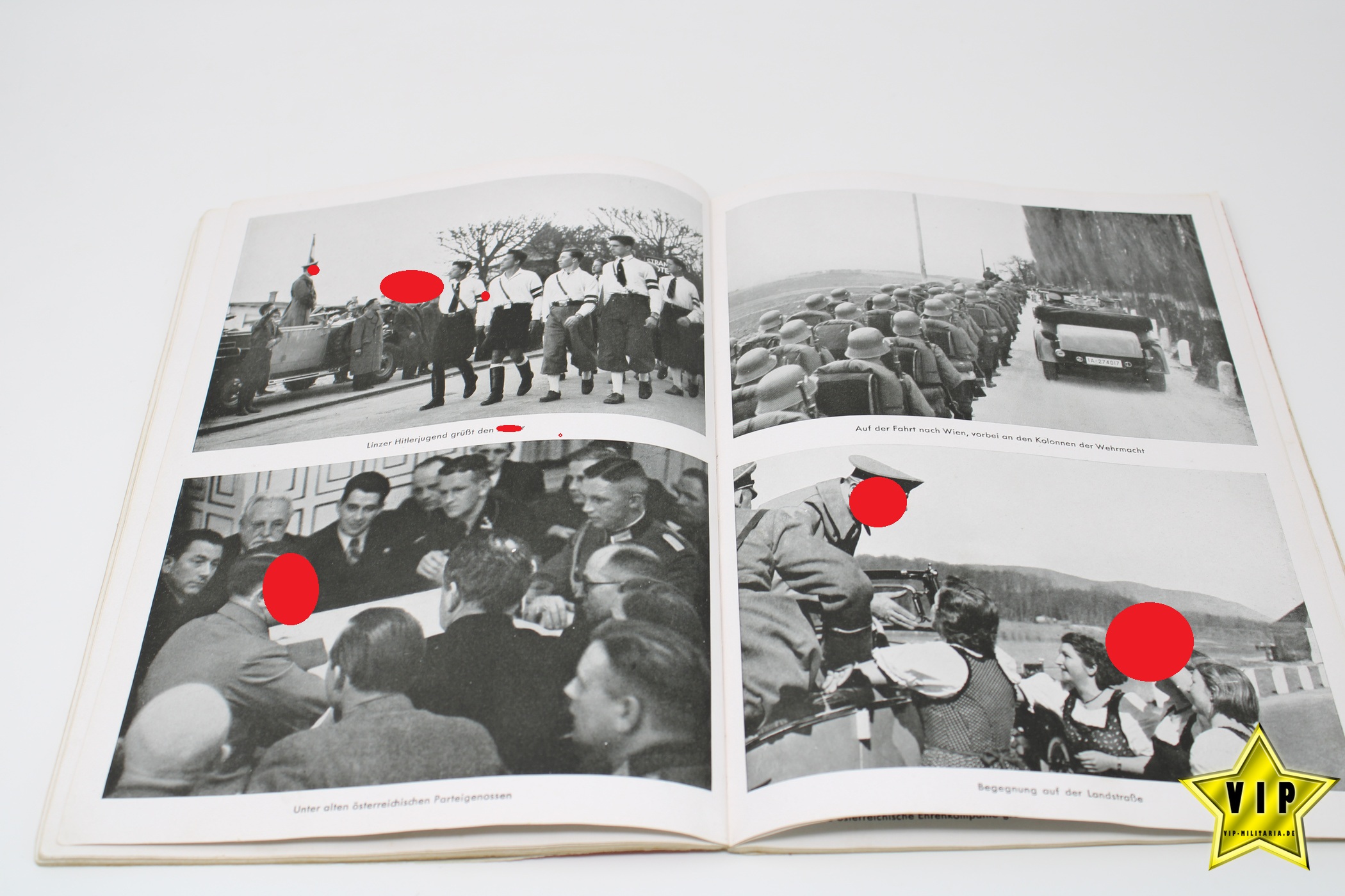 Buch Hitler in seiner Heimat