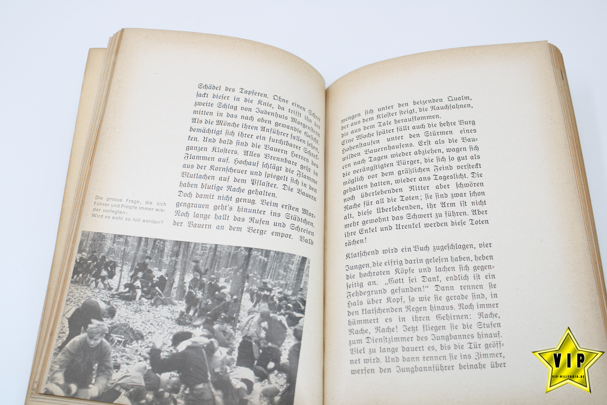 Buch NS Jugend Pimpf