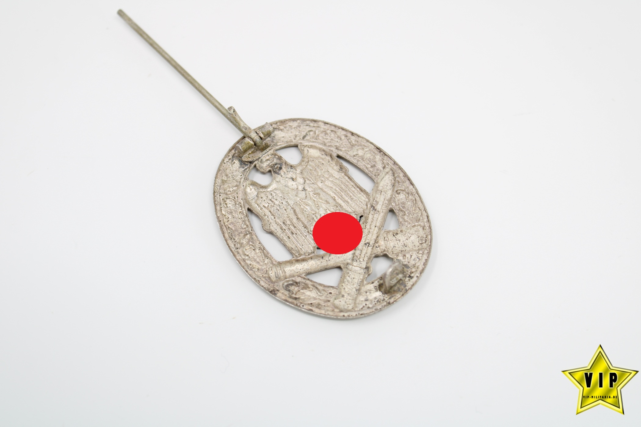 Allgemeines-Sturmabzeichen Schickle