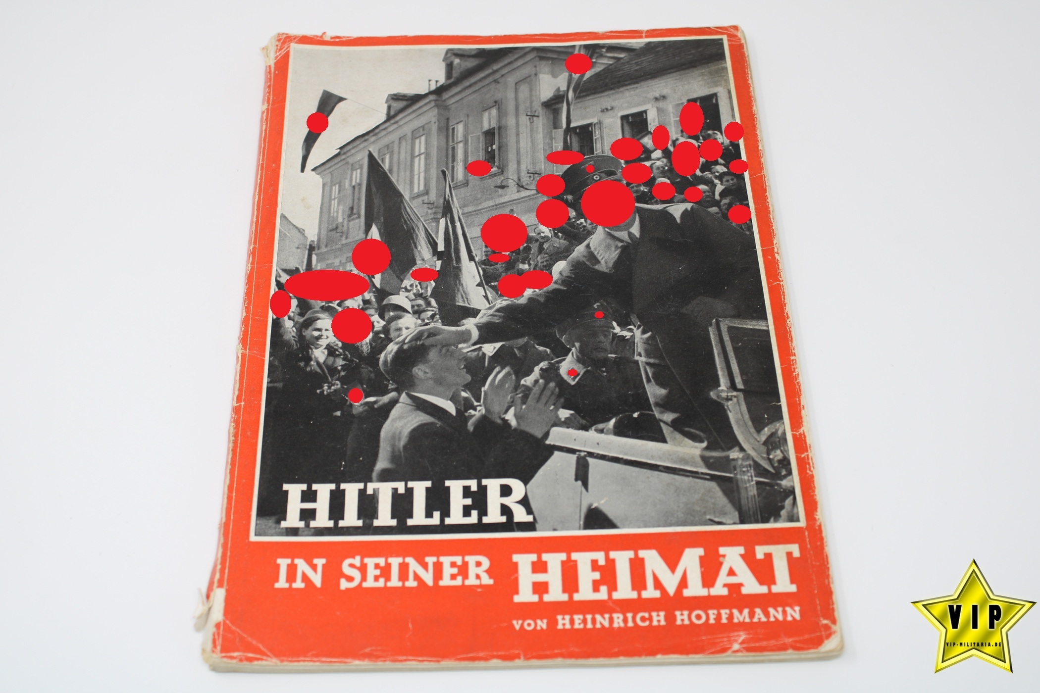 Buch Hitler in seiner Heimat