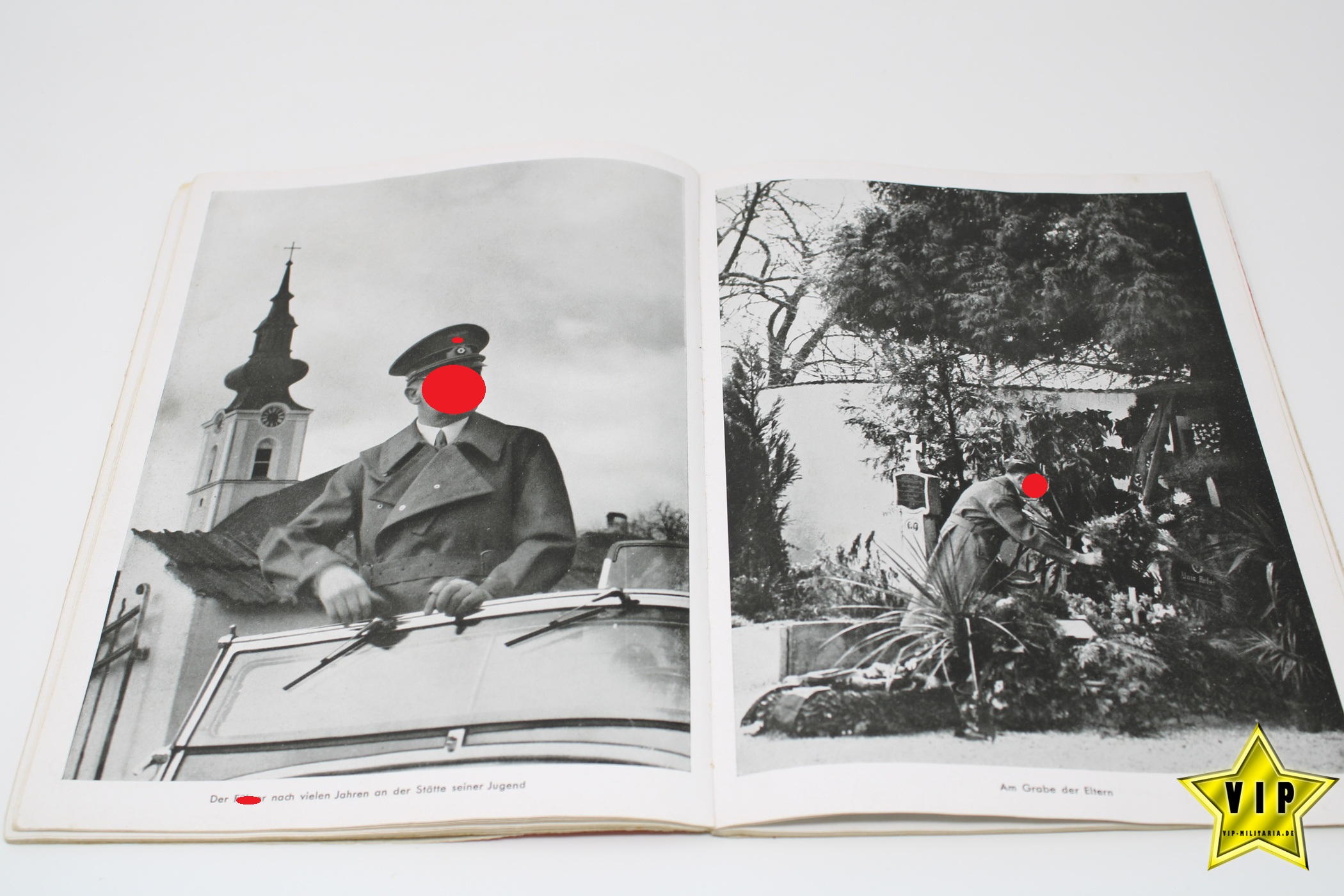 Buch Hitler in seiner Heimat