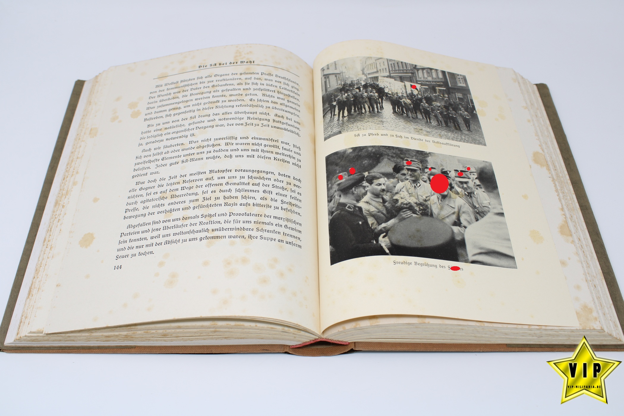 Buch Männer im Braunhemd