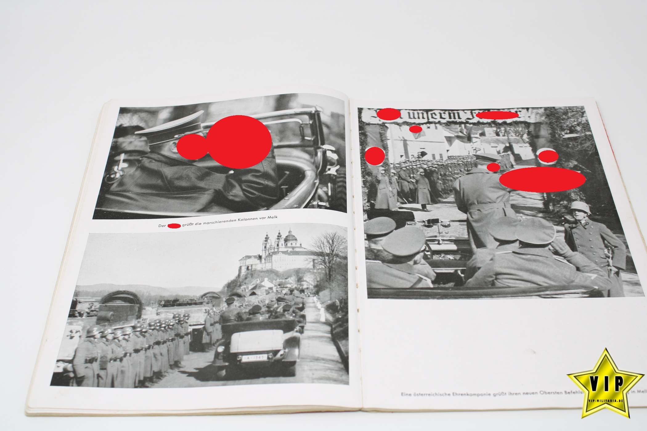 Buch Hitler in seiner Heimat