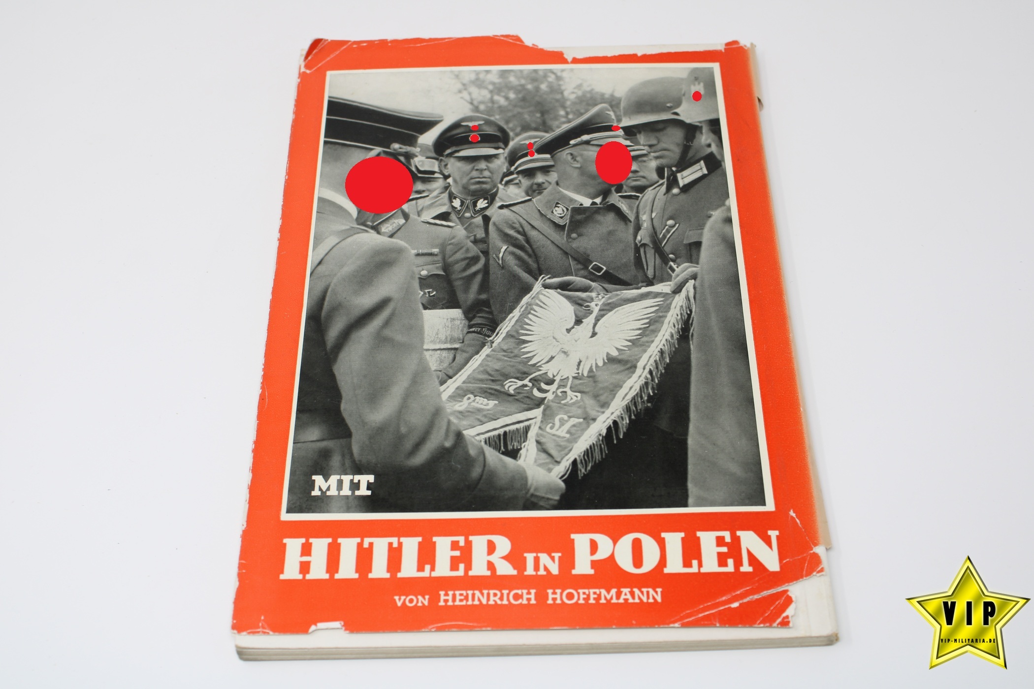 Buch Hitler in Polen