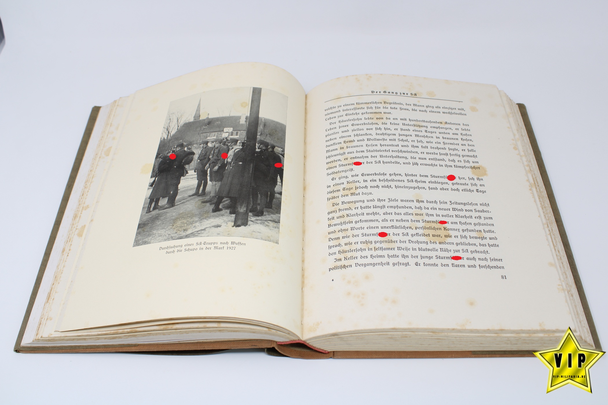 Buch Männer im Braunhemd