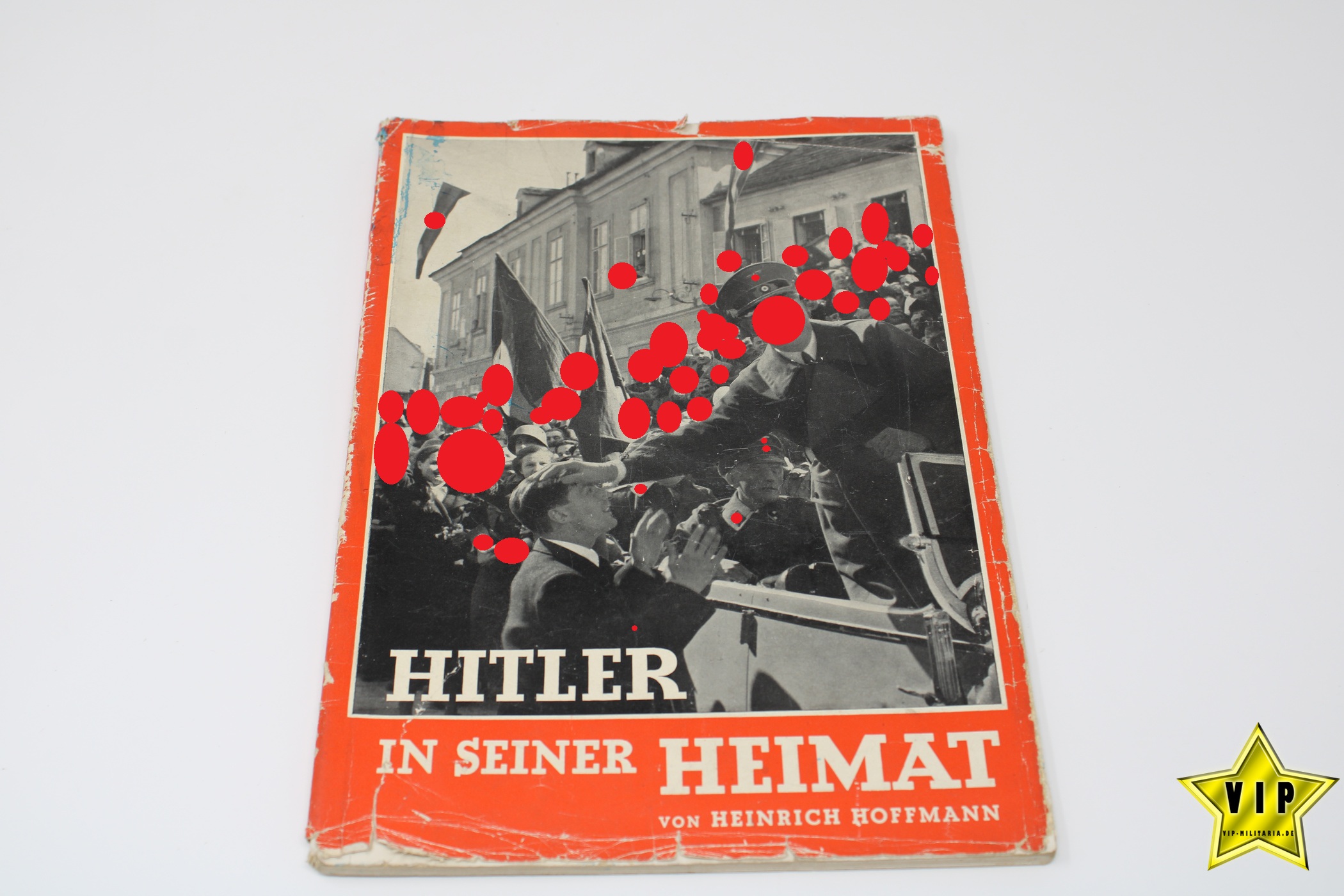 Buch Hitler in seiner Heimat