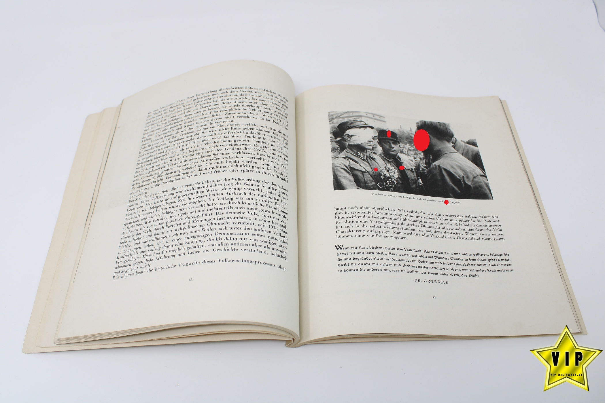 Ich Kämpfe Buch der NSDAP Partei