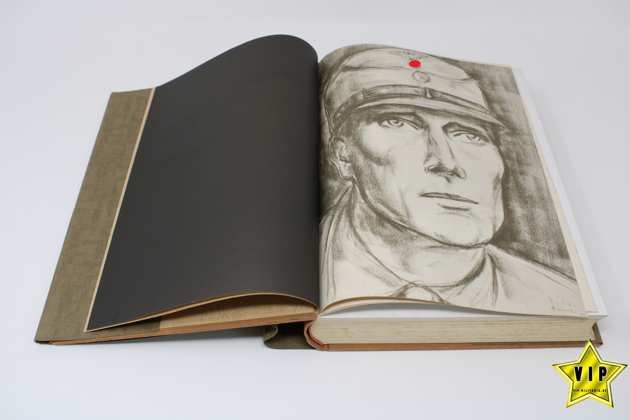 Buch Männer im Braunhemd