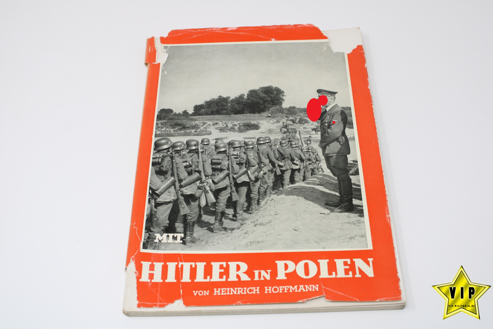 Buch Hitler in Polen