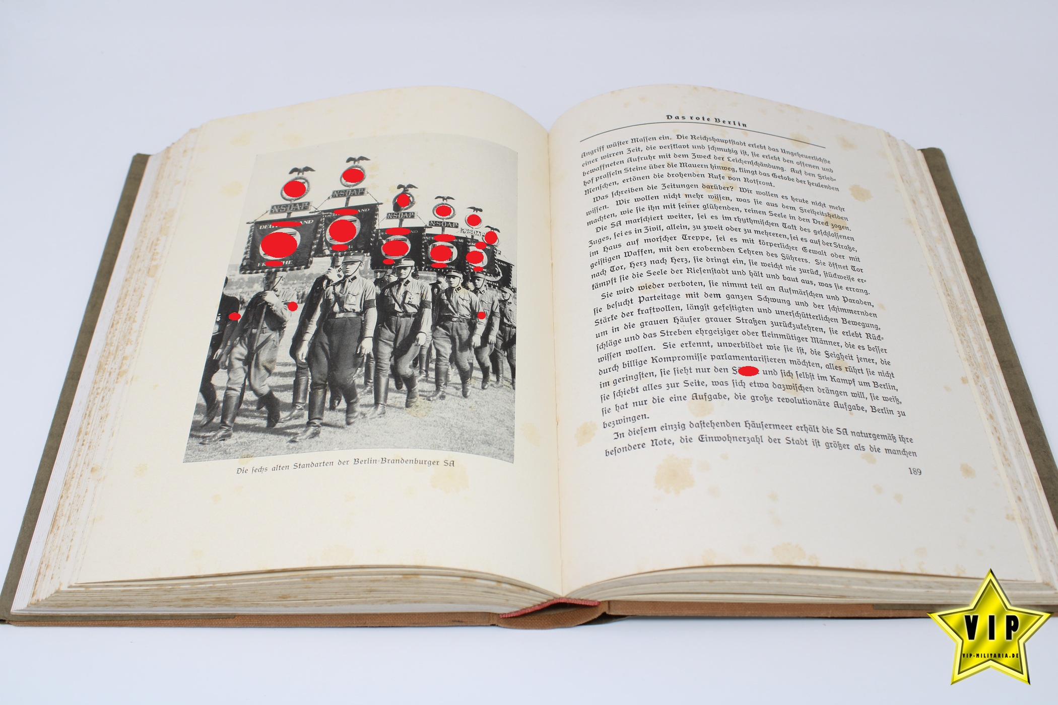 Buch Männer im Braunhemd