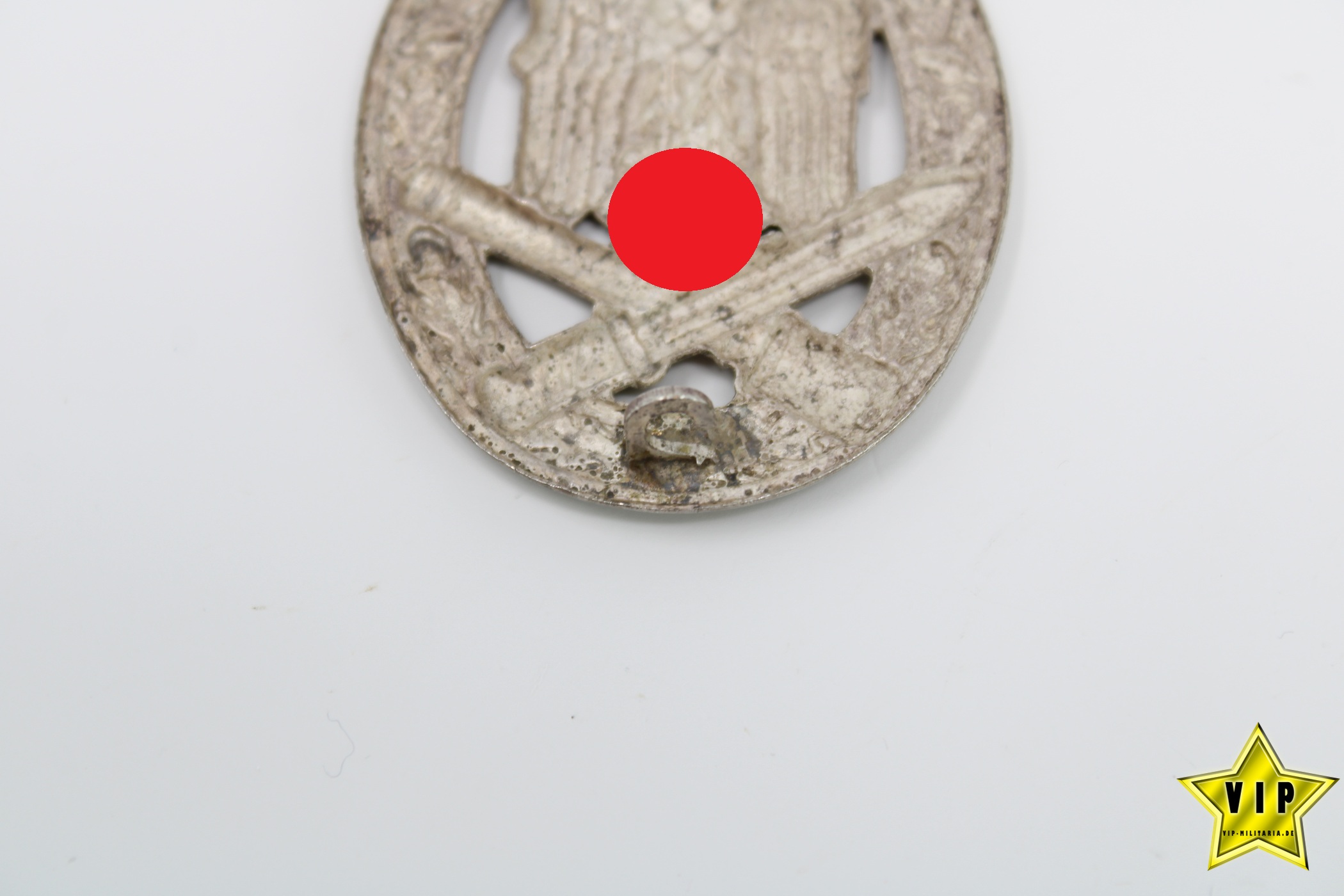 Allgemeines-Sturmabzeichen Schickle