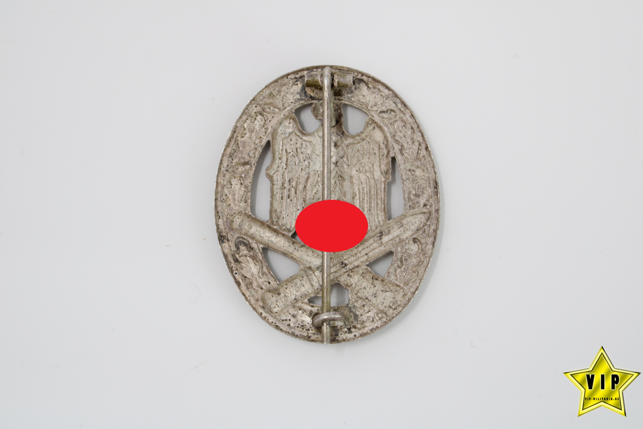 Allgemeines-Sturmabzeichen Schickle