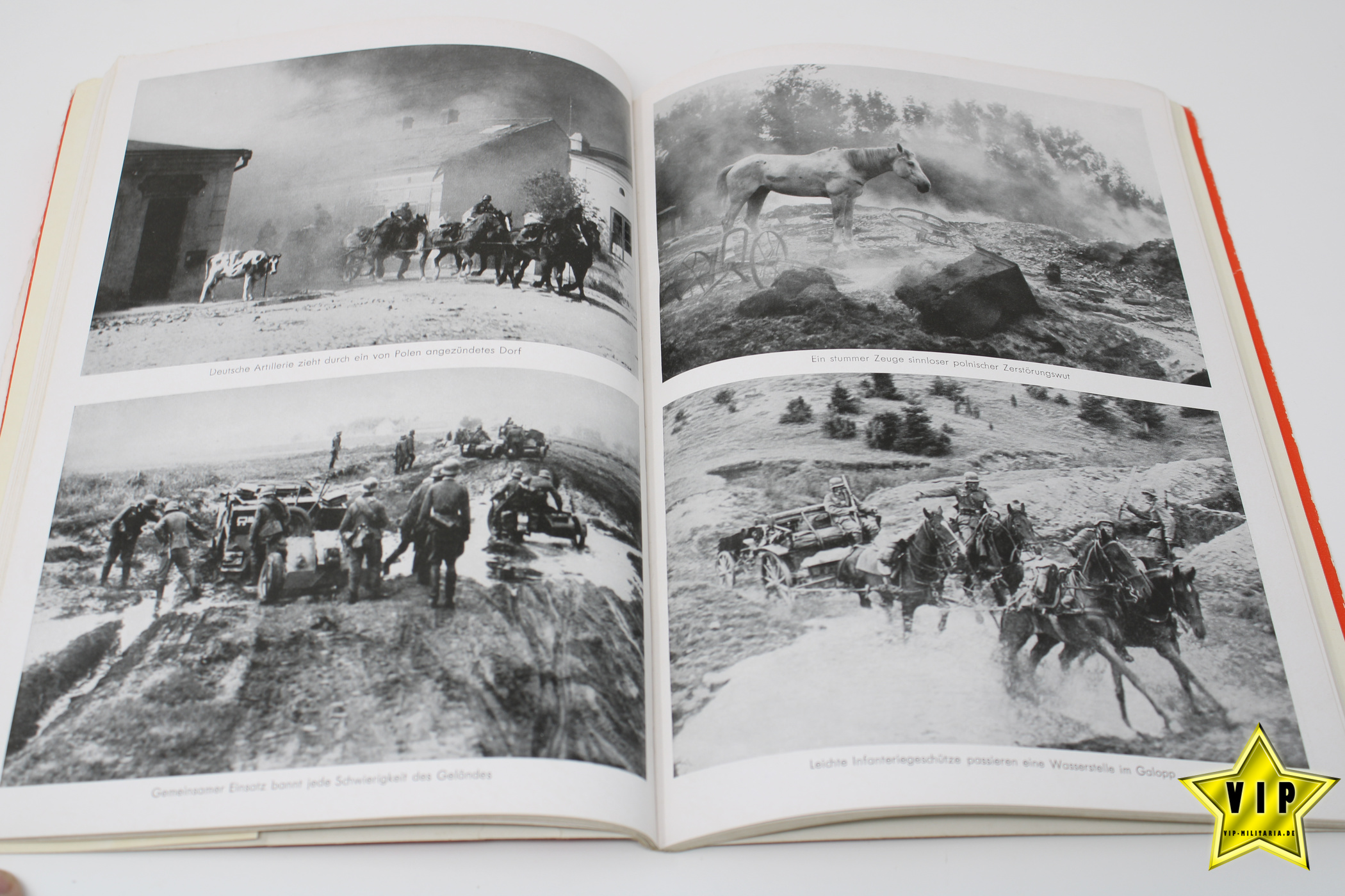 Buch Hitler in Polen